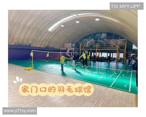 羽毛球赛事场馆环境对运动员表现影响探讨