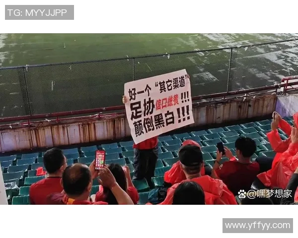 总决赛赛场争议不断 球迷行为引发热议引爆社交平台讨论